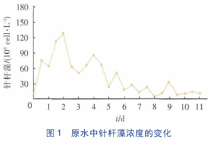 圖1  原水中針桿藻濃度的變化